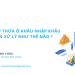 Thuế GTGT nộp thừa ở khâu nhập khẩu được hải quan xử lý như thế nào?