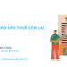 Lịch nộp các báo cáo thuế còn lại của năm 2025
